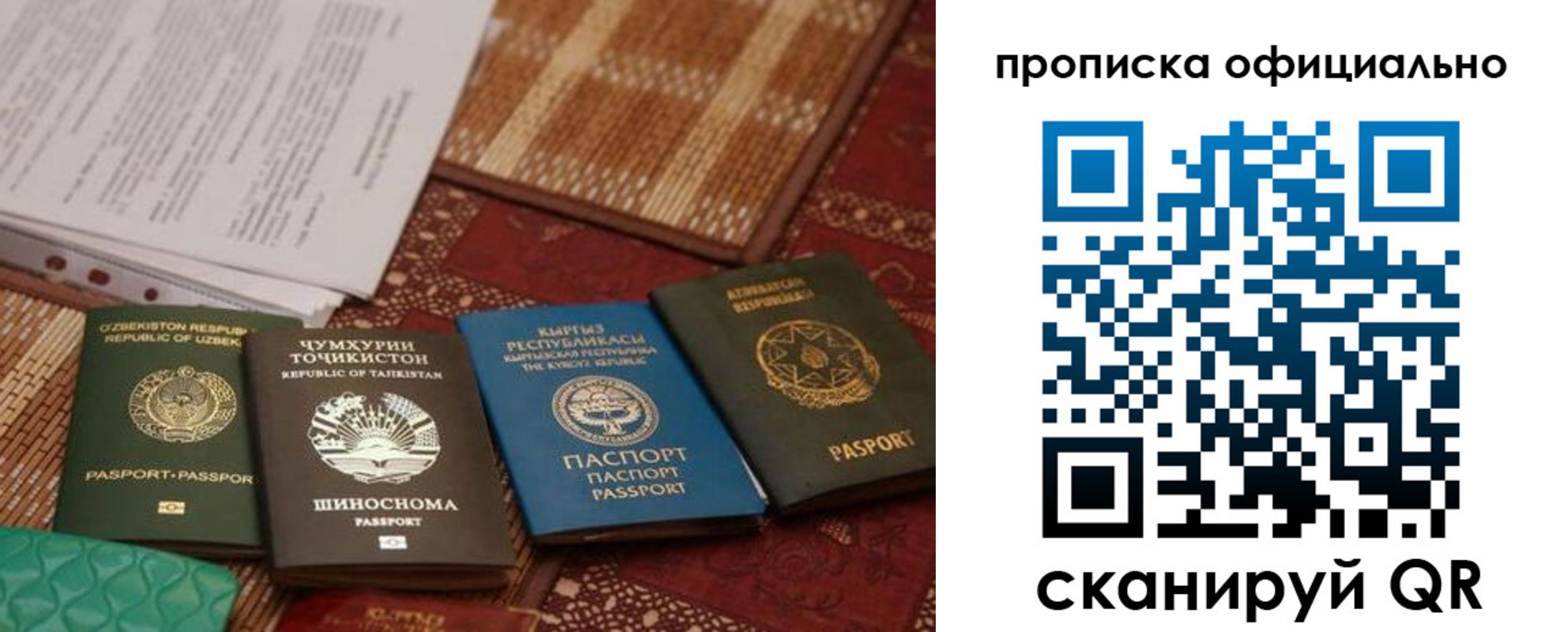 прописка регистрация в Пионерском