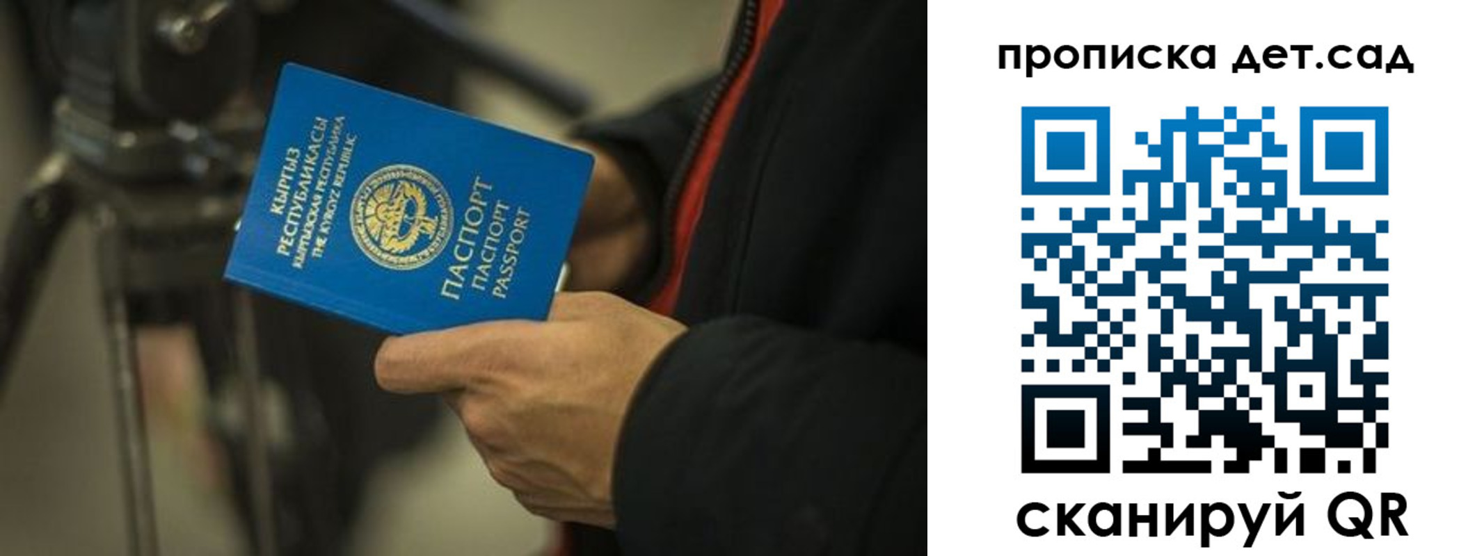 прописка поиск в Пионерском