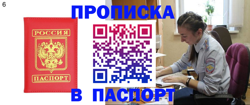 прописка гарантия в Пионерском